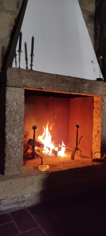 La Chascona Di Farnese Casa Di Tufo Nel Borgo Apartment Luaran gambar