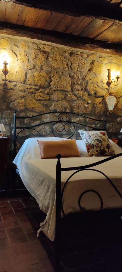 La Chascona Di Farnese Casa Di Tufo Nel Borgo Apartment Luaran gambar