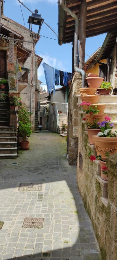 La Chascona Di Farnese Casa Di Tufo Nel Borgo Apartment Luaran gambar