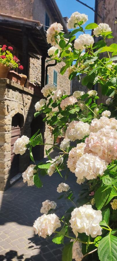 La Chascona Di Farnese Casa Di Tufo Nel Borgo Apartment Luaran gambar