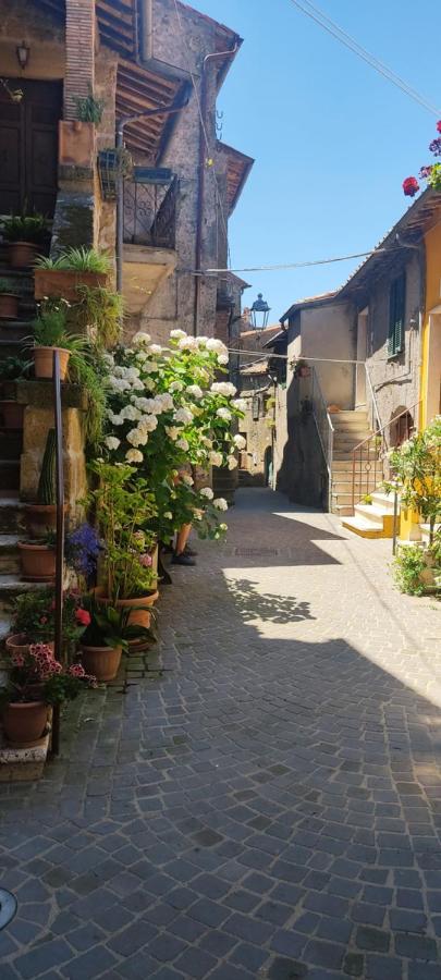 La Chascona Di Farnese Casa Di Tufo Nel Borgo Apartment Luaran gambar