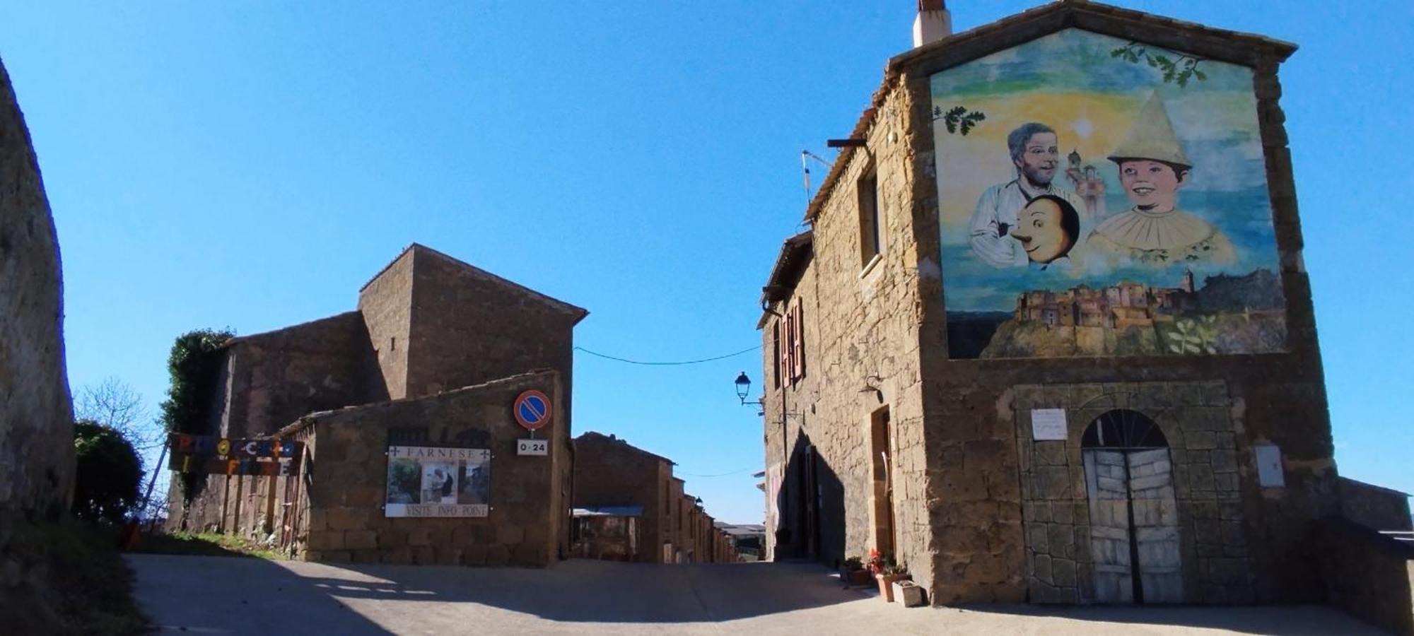 La Chascona Di Farnese Casa Di Tufo Nel Borgo Apartment Luaran gambar